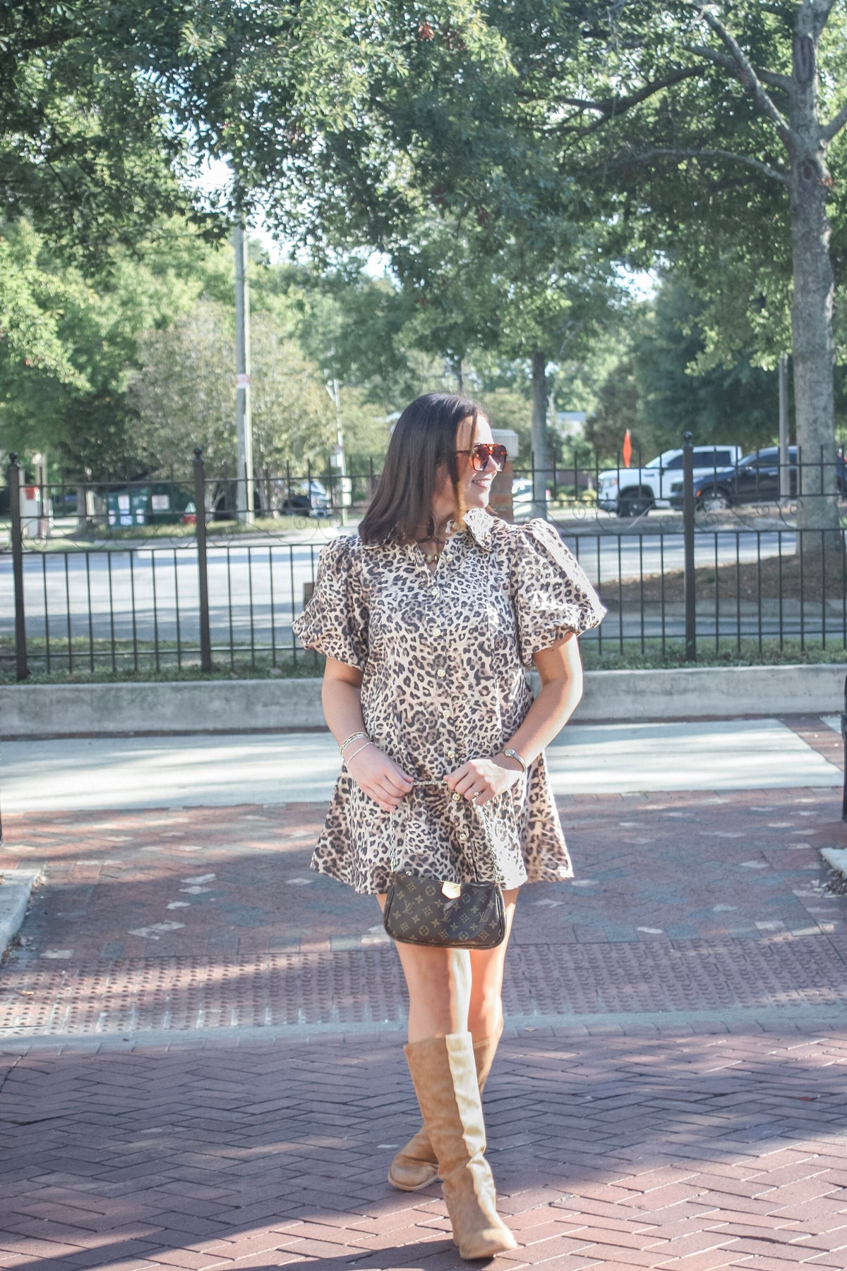 Maud Leopard Puff Sleeve Mini Dress