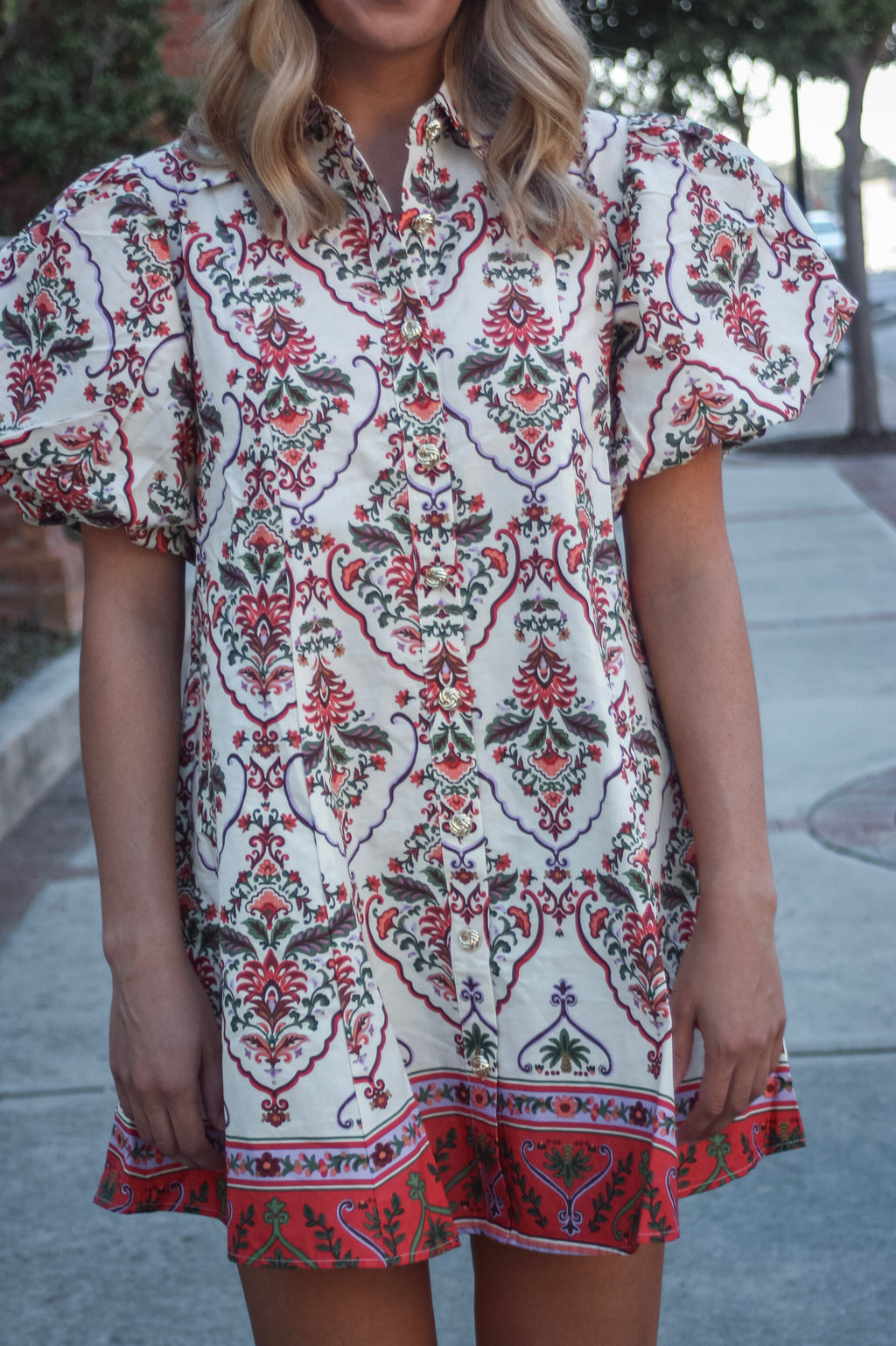 Mae Print Puff Sleeve Mini Dress