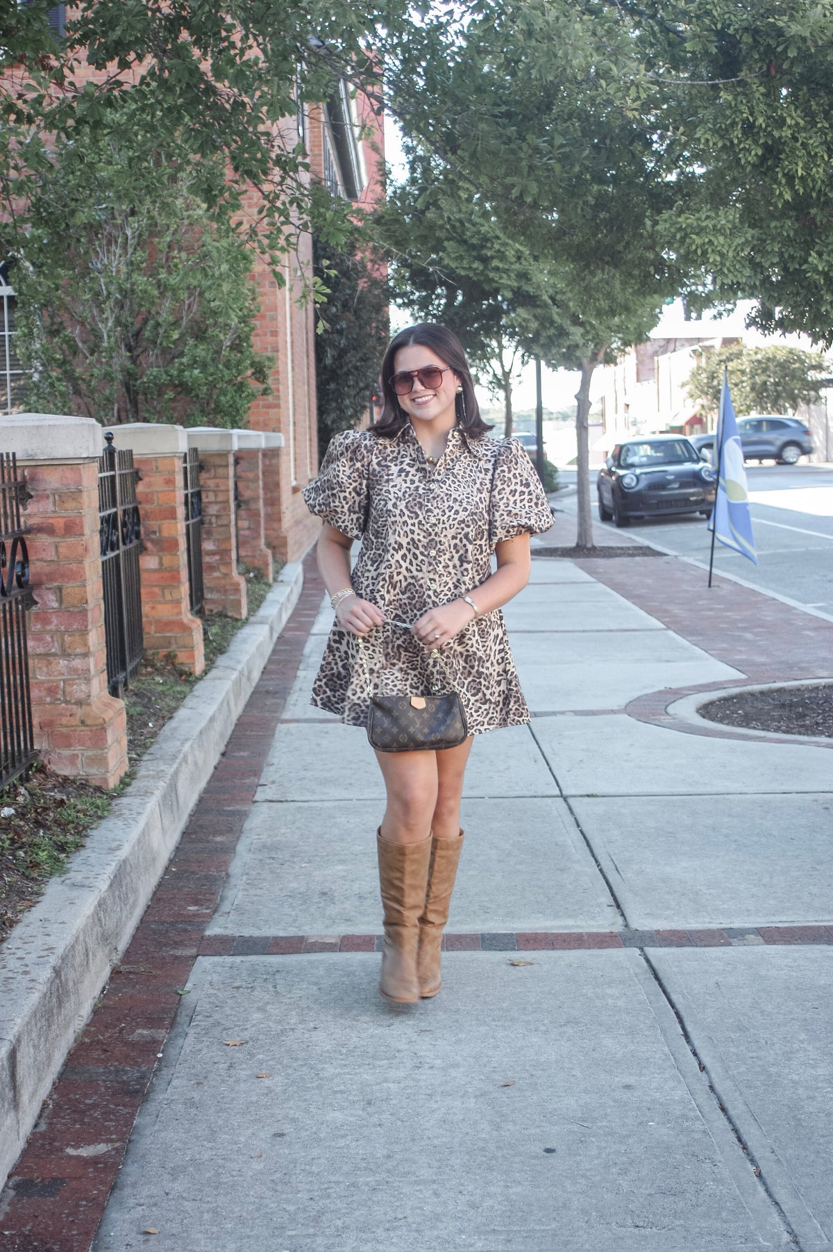 Maud Leopard Puff Sleeve Mini Dress