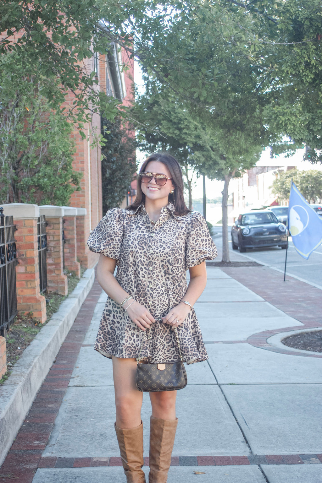 Maud Leopard Puff Sleeve Mini Dress