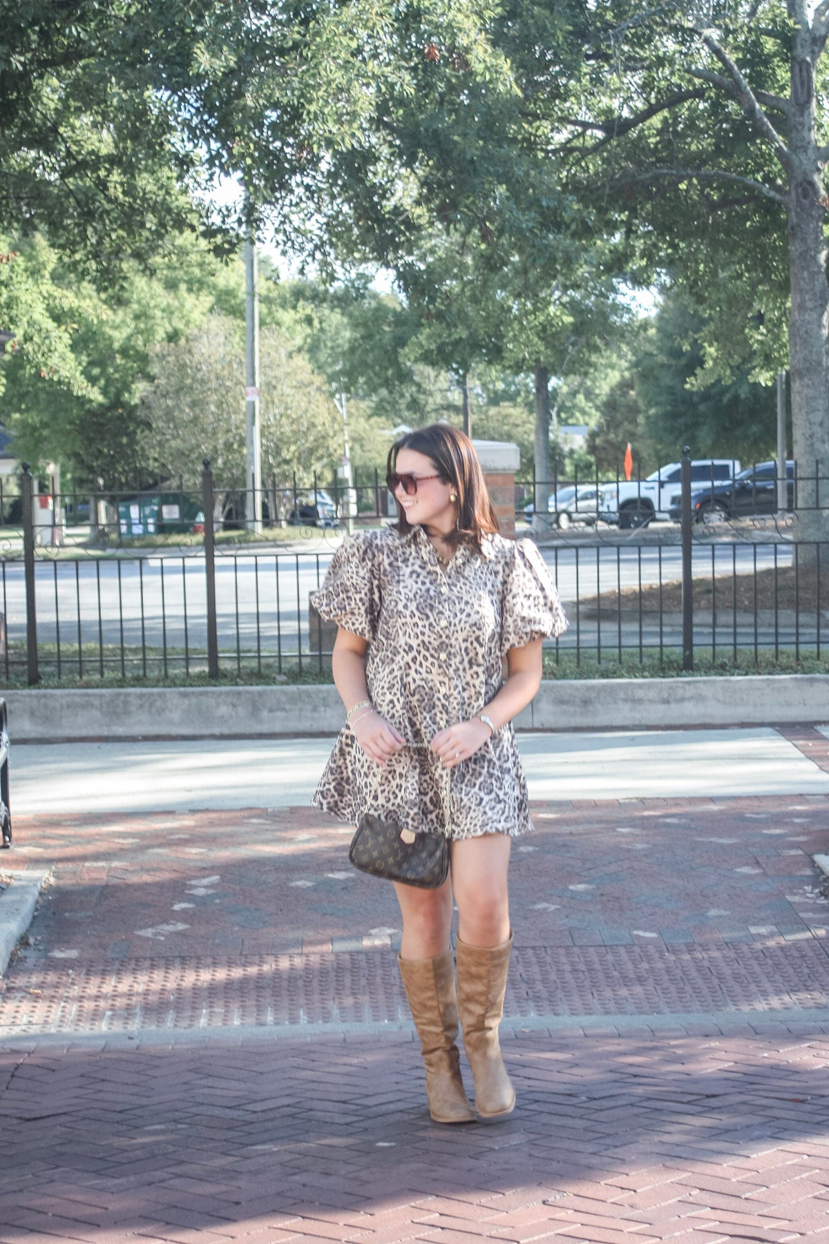 Maud Leopard Puff Sleeve Mini Dress