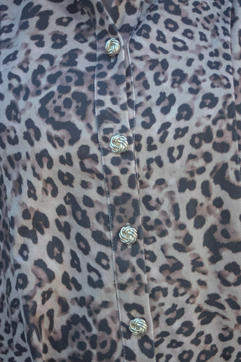 Maud Leopard Puff Sleeve Mini Dress
