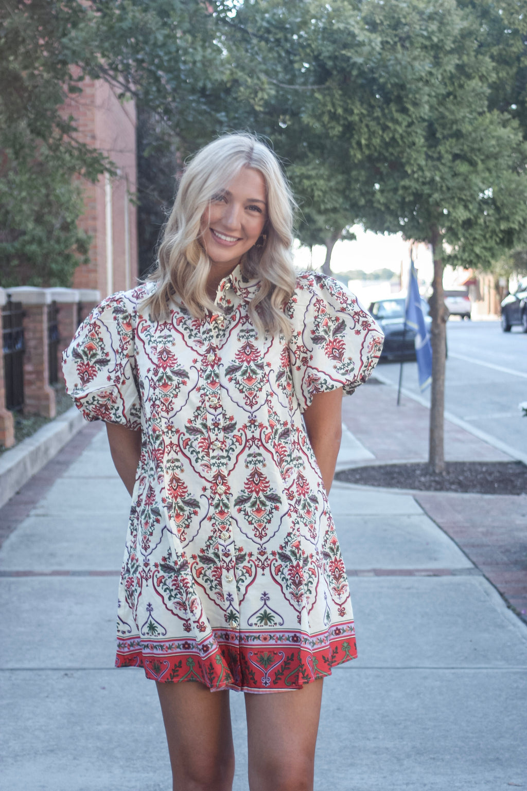 Mae Print Puff Sleeve Mini Dress