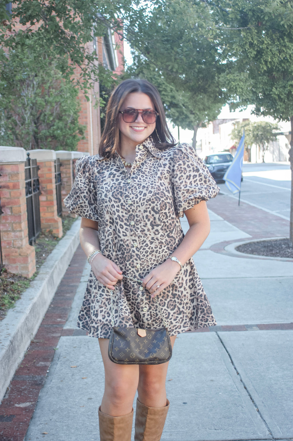 Maud Leopard Puff Sleeve Mini Dress