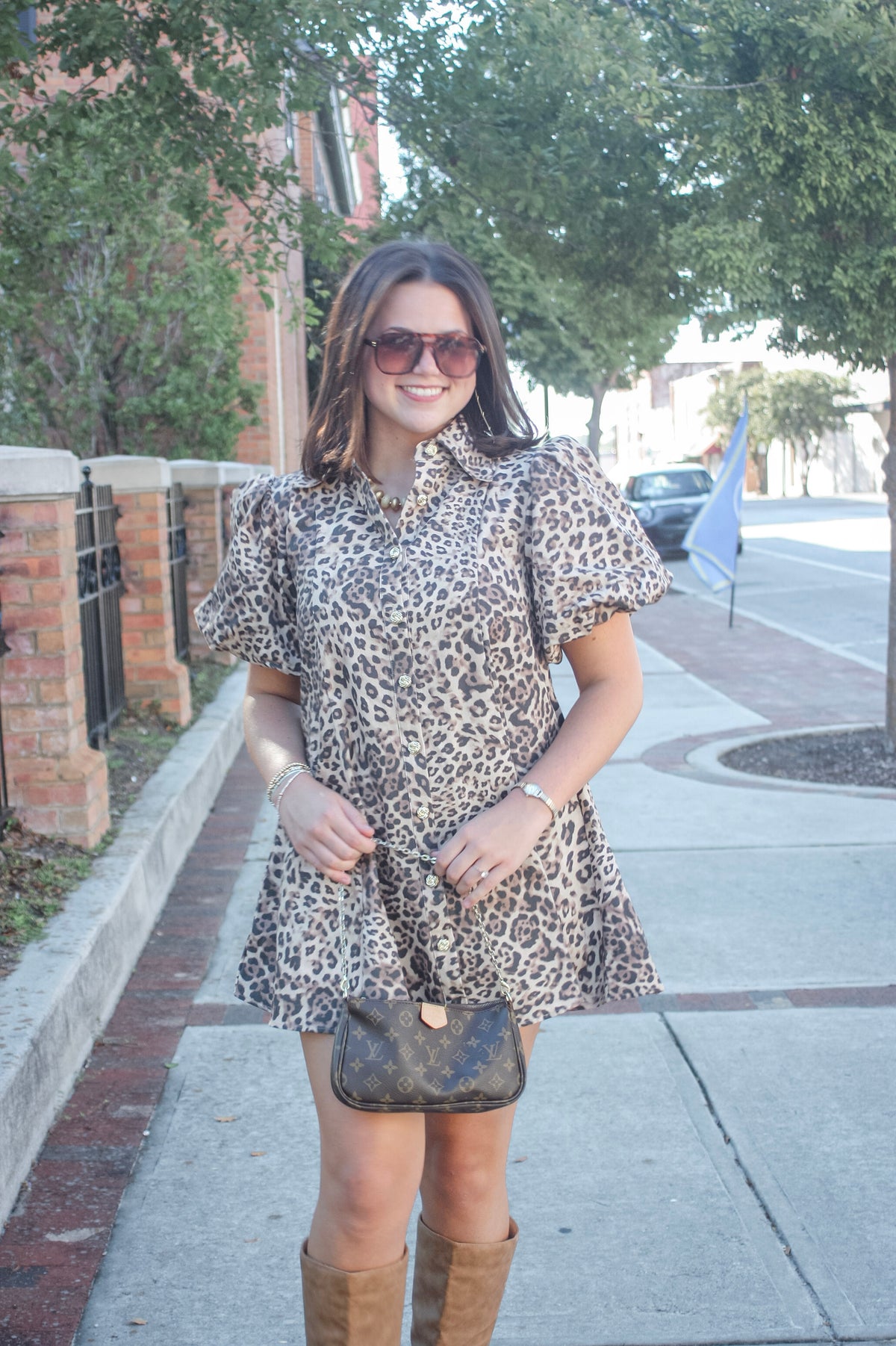 Maud Leopard Puff Sleeve Mini Dress