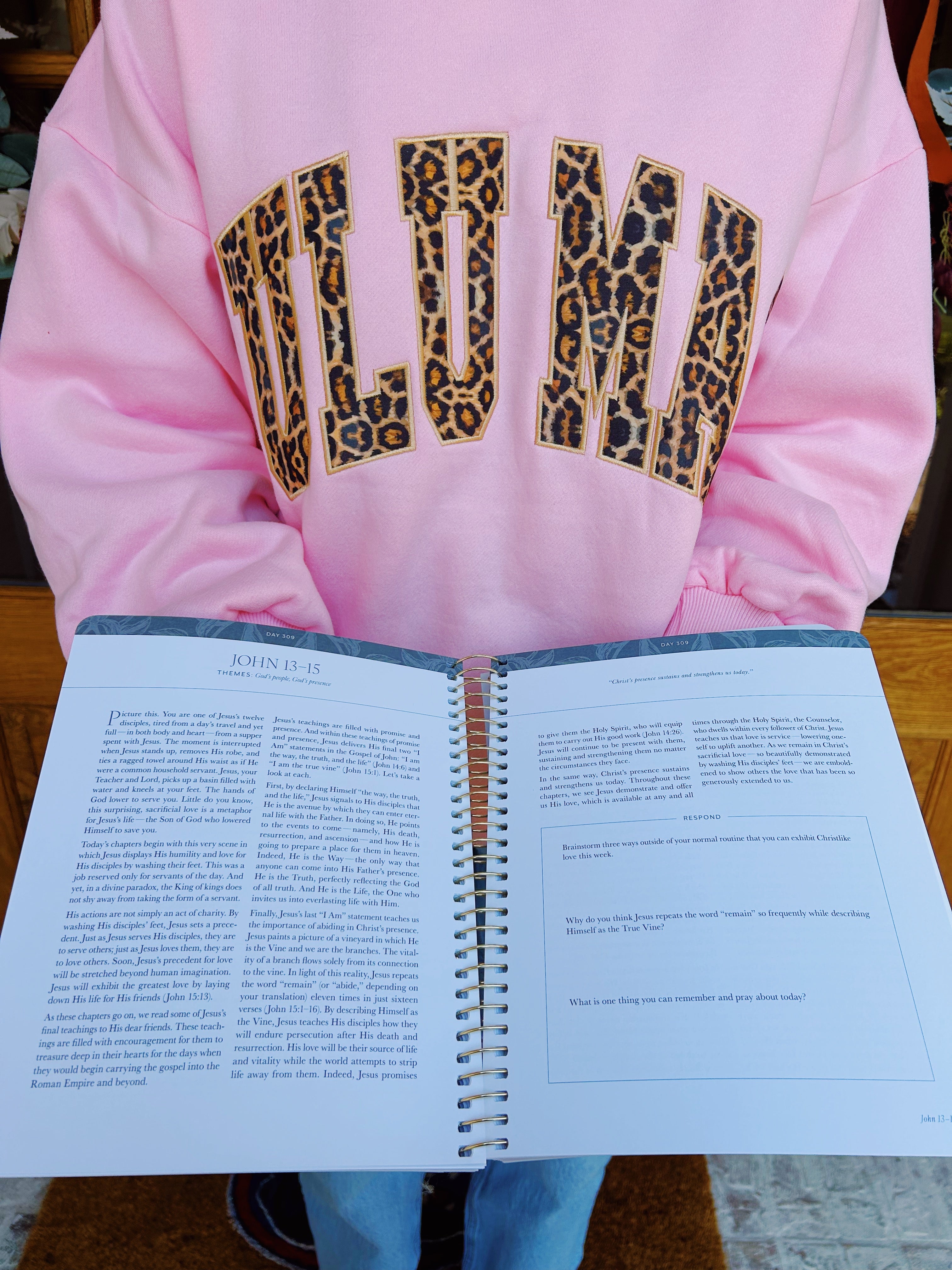 A Year in the Bible | 365 Days of Discovering the Beauty of Jesus from Genesis to Revelation | Volume 4